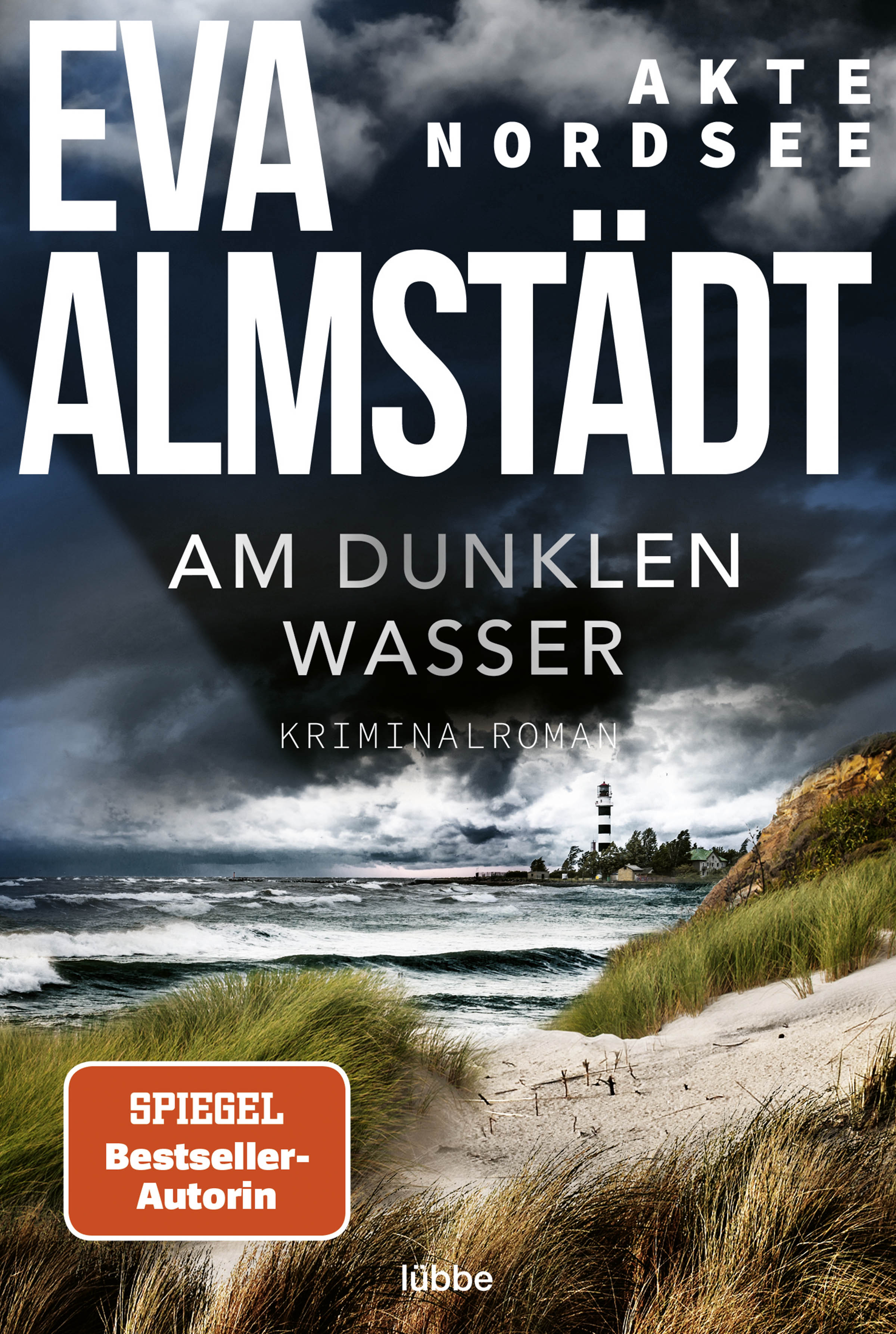 Am dunklen Wasser (Akte Nordsee, #1)