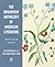 The Broadview Anthology of American Literature Concise Volume 1 by Derrick R. Spires