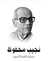 خمارة القط الأسود