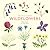 The Little Guide to Wildflowers