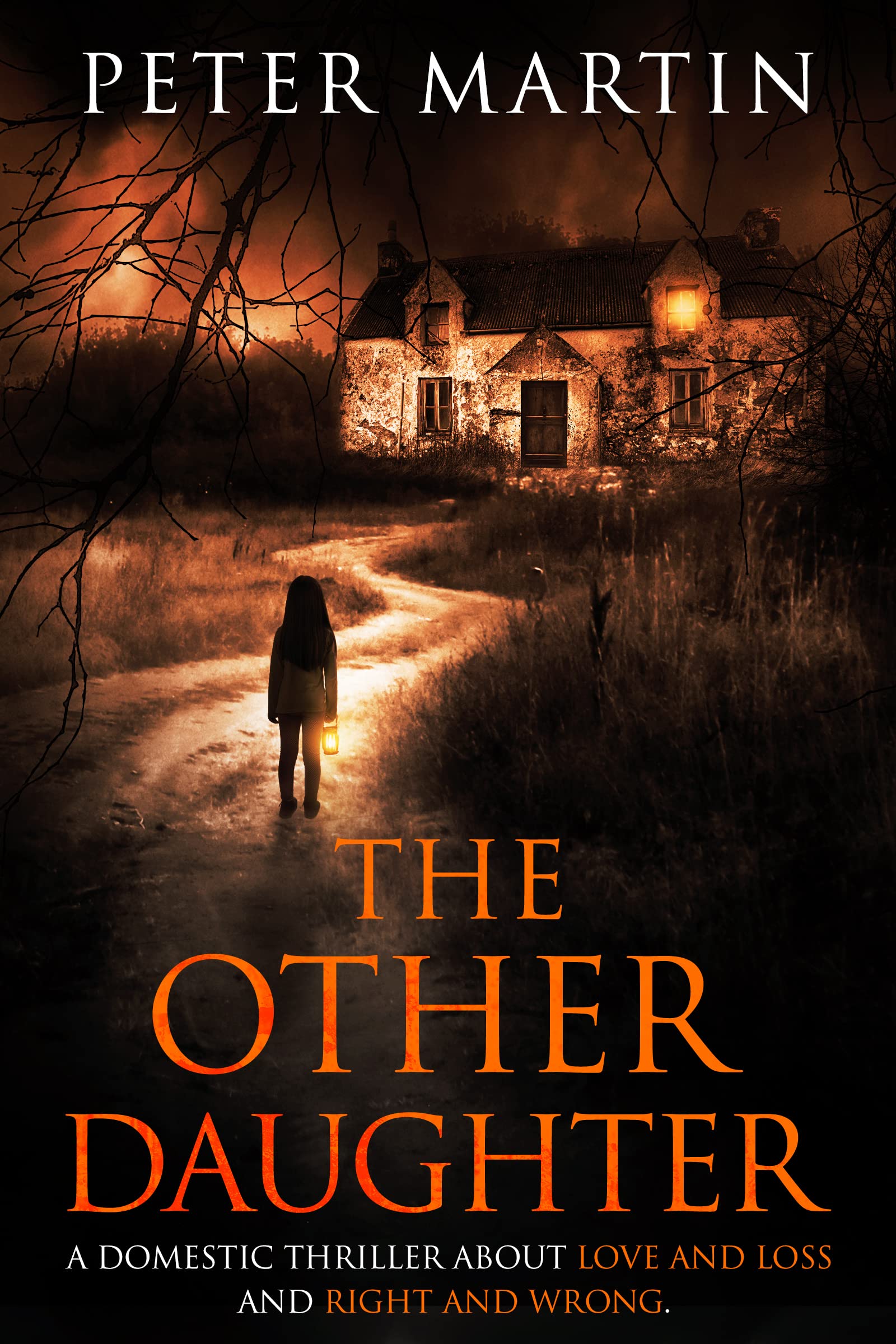 The Other Daughter (Kindle Edition)