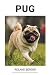 Pug