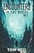 Encounters in the Woods: Volume Two