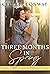 Three Months in Spring (Door County Dreams, #3)