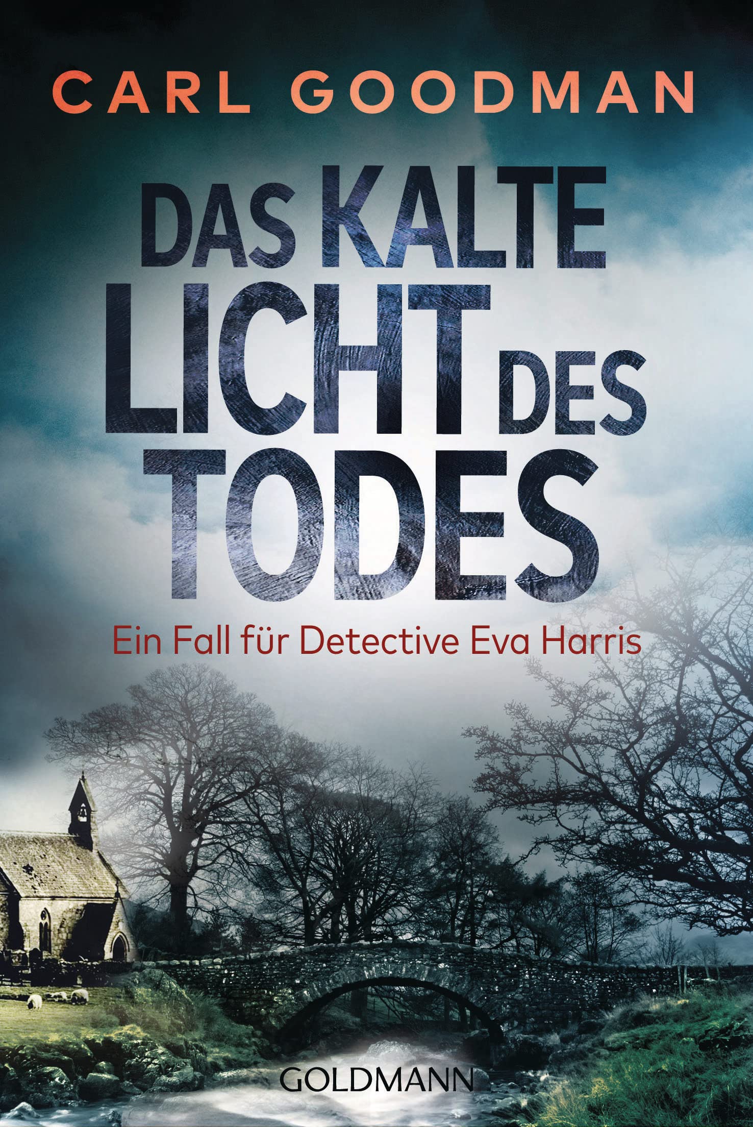 Das kalte Licht des Todes: Ein Fall für Detective Eva Harris (Ein Fall für DI Eva Harris 1) (German Edition)