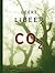 CO2 by Geert Libeer