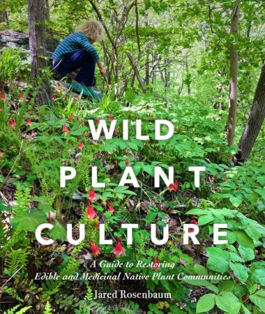 Wild Plant Culture: A Guide to Restoring Edible and Medicinal Native Plant Communities (ebook)