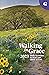 Walking in Grace 2023: Dail...