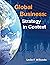 Global Business: Strategy in Context