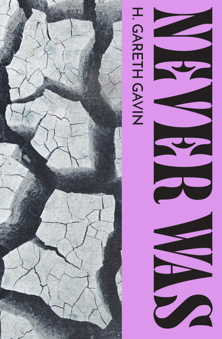 Never Was (Paperback)