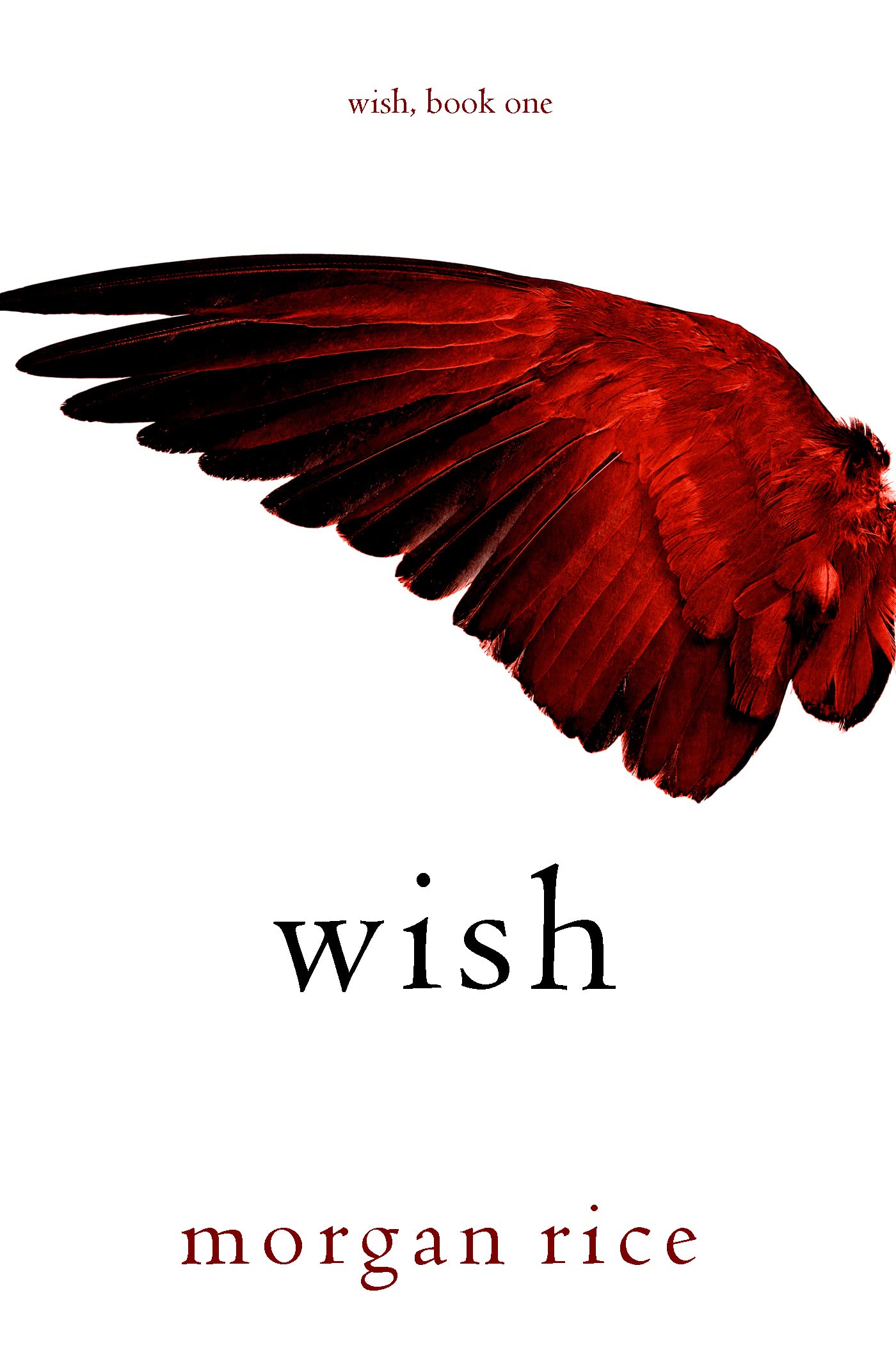 Wish (Wish #1)
