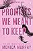 Promises We Meant to Keep (Lancaster Prep, #3)
