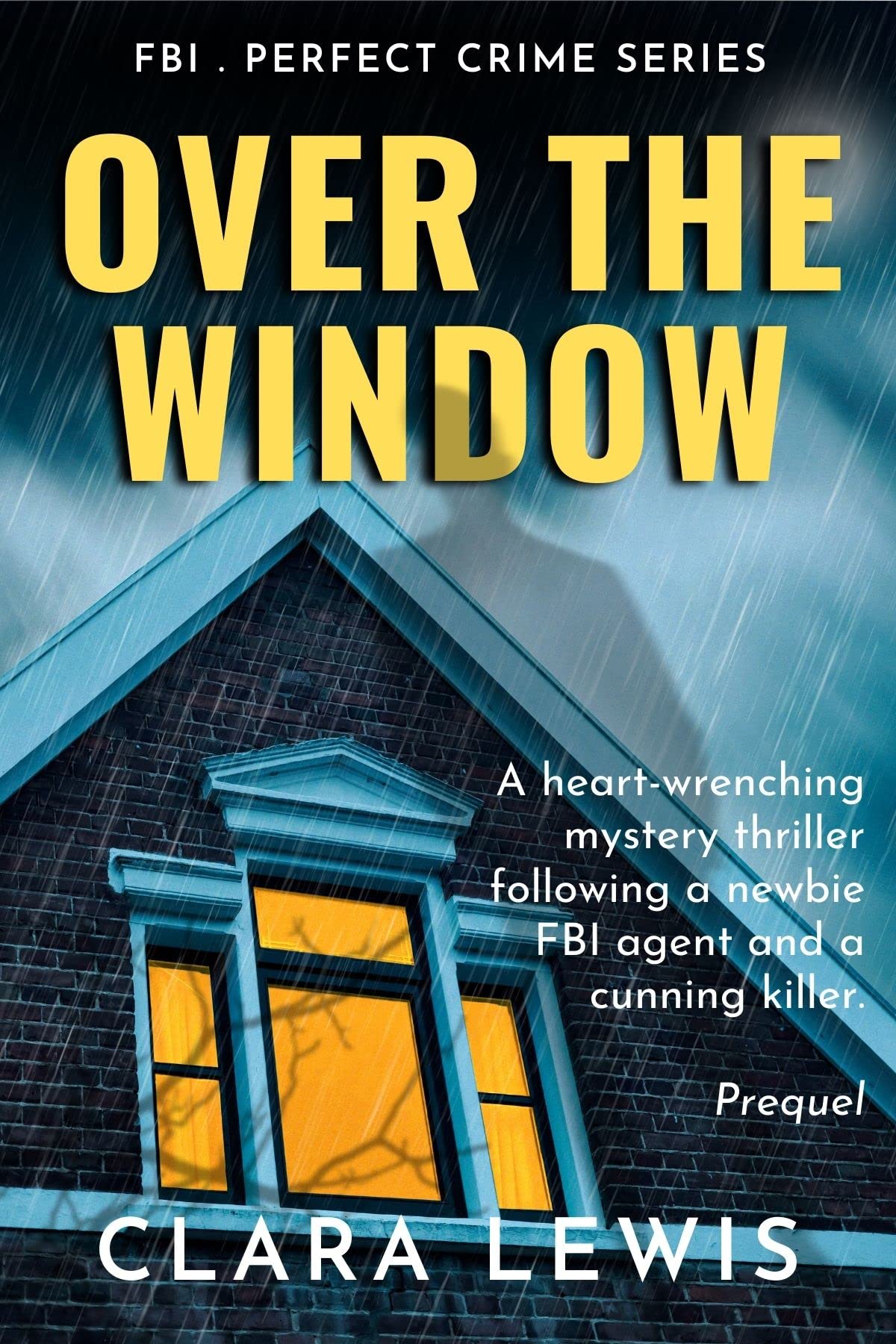 Over The Window (Perfect Crime - Prequel)