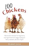 100 Chickens: 100...