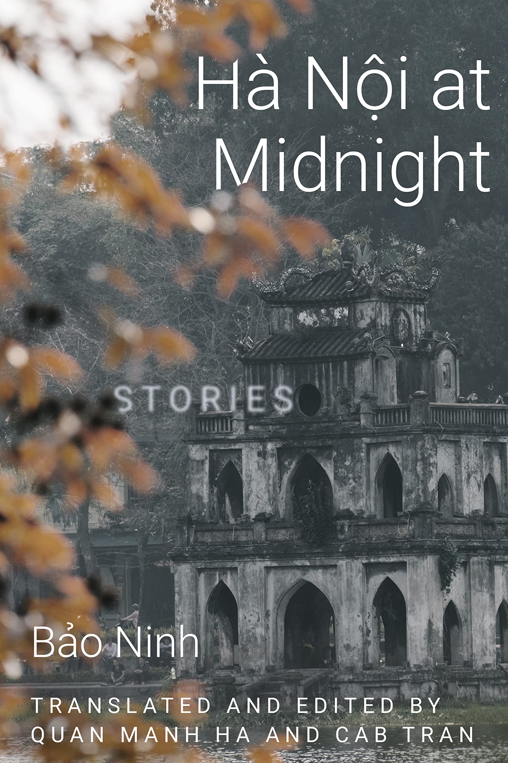 Hanoi at Midnight: Stories (Diasporic Vietnamese Artists Network Series)