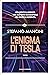 L'enigma di Tesla by Stefano Mancini