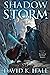 Shadow Storm: Book One of the Shadow Slayer Series