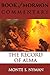 The Record of Alma: Book of Mormon Commentary Volume 3