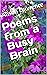 Poems from a Busy Brain