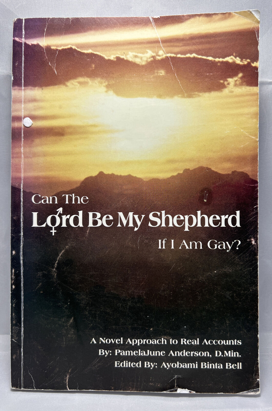 Can the Lord Be My Shepherd If I Am Gay?