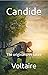 Candide : The original 1759 satire (ANNOTATED)