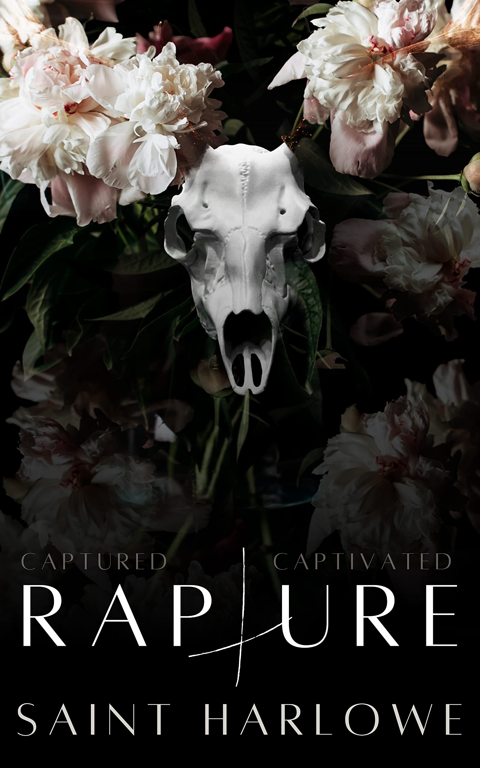 Rapture (Blood Baptism Book 1)
