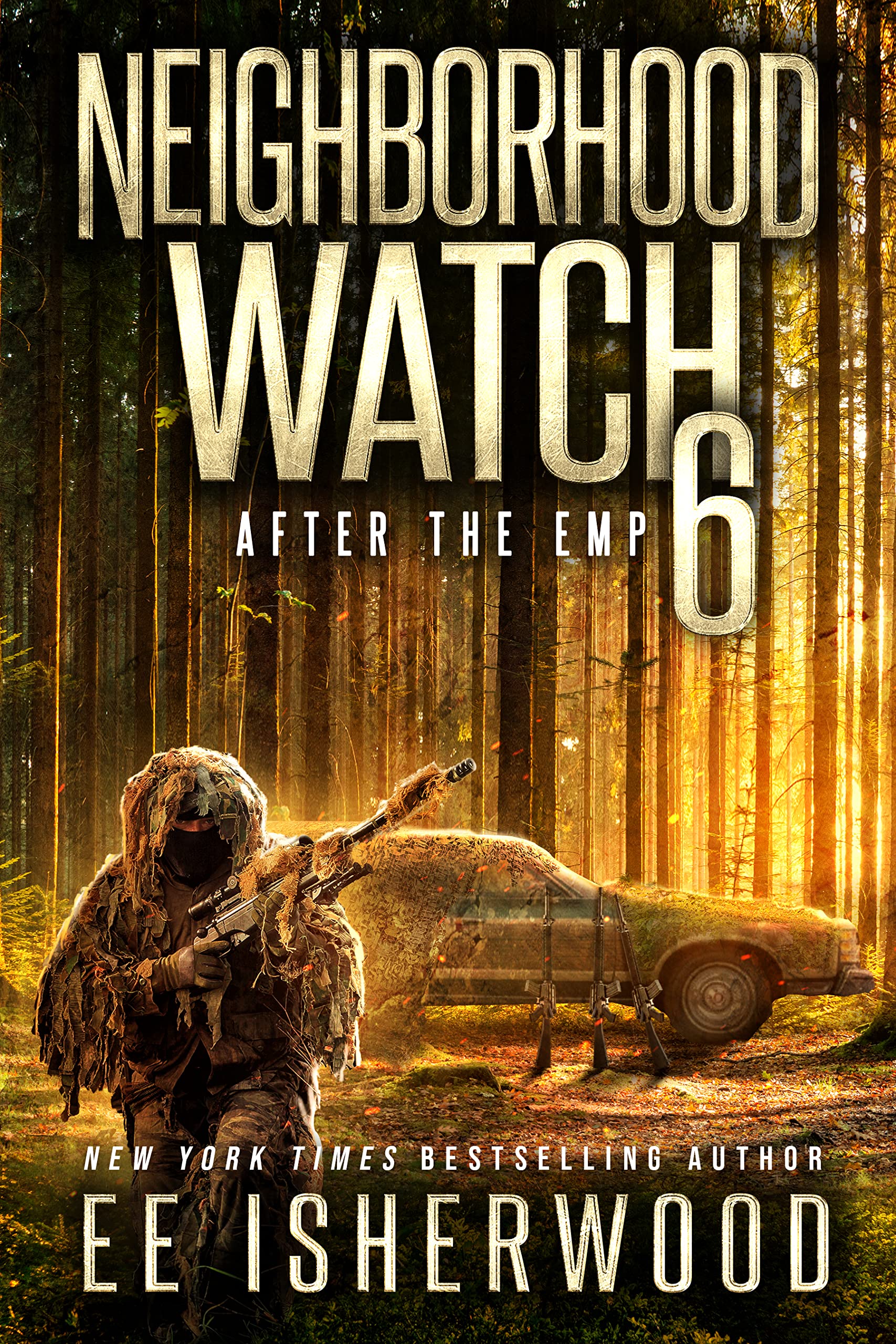 Neighborhood Watch 6: After the EMP (Kindle Edition)