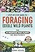 Step-by-Step Guide to Forag...