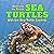 Getting to Know Sea Turtles...