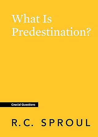 What Is Predestination? (Crucial Questions)