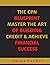 THE CPN BLUEPRINT MASTER THE ART OF BUILDING CREDIT & ACHIEVE... by Emma Parker