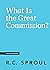 What Is the Great Commission? (Crucial Questions)