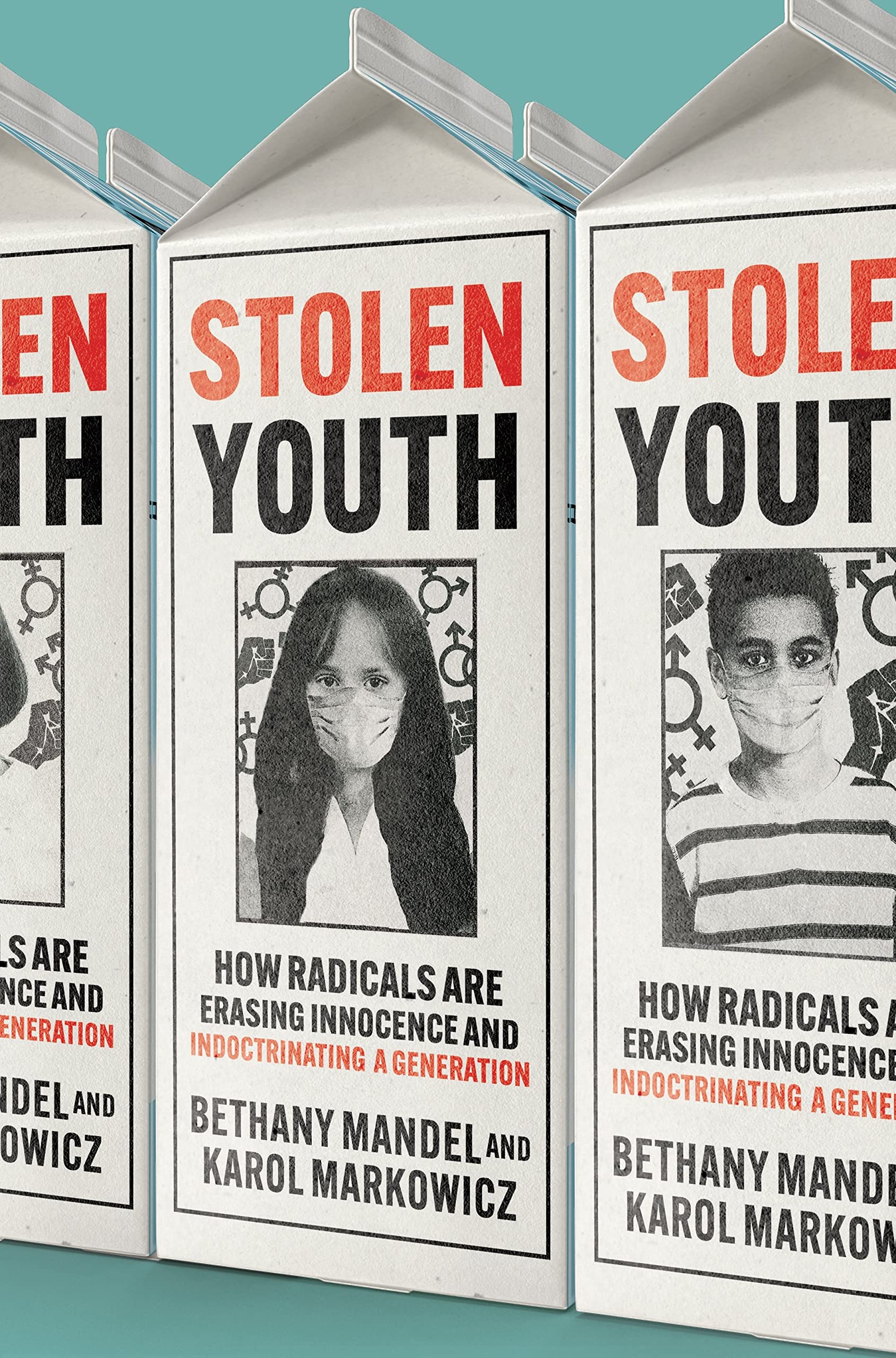 Stolen Youth: How Radicals Are Erasing Innocence and Indoctrinating a Generation (Hardcover)