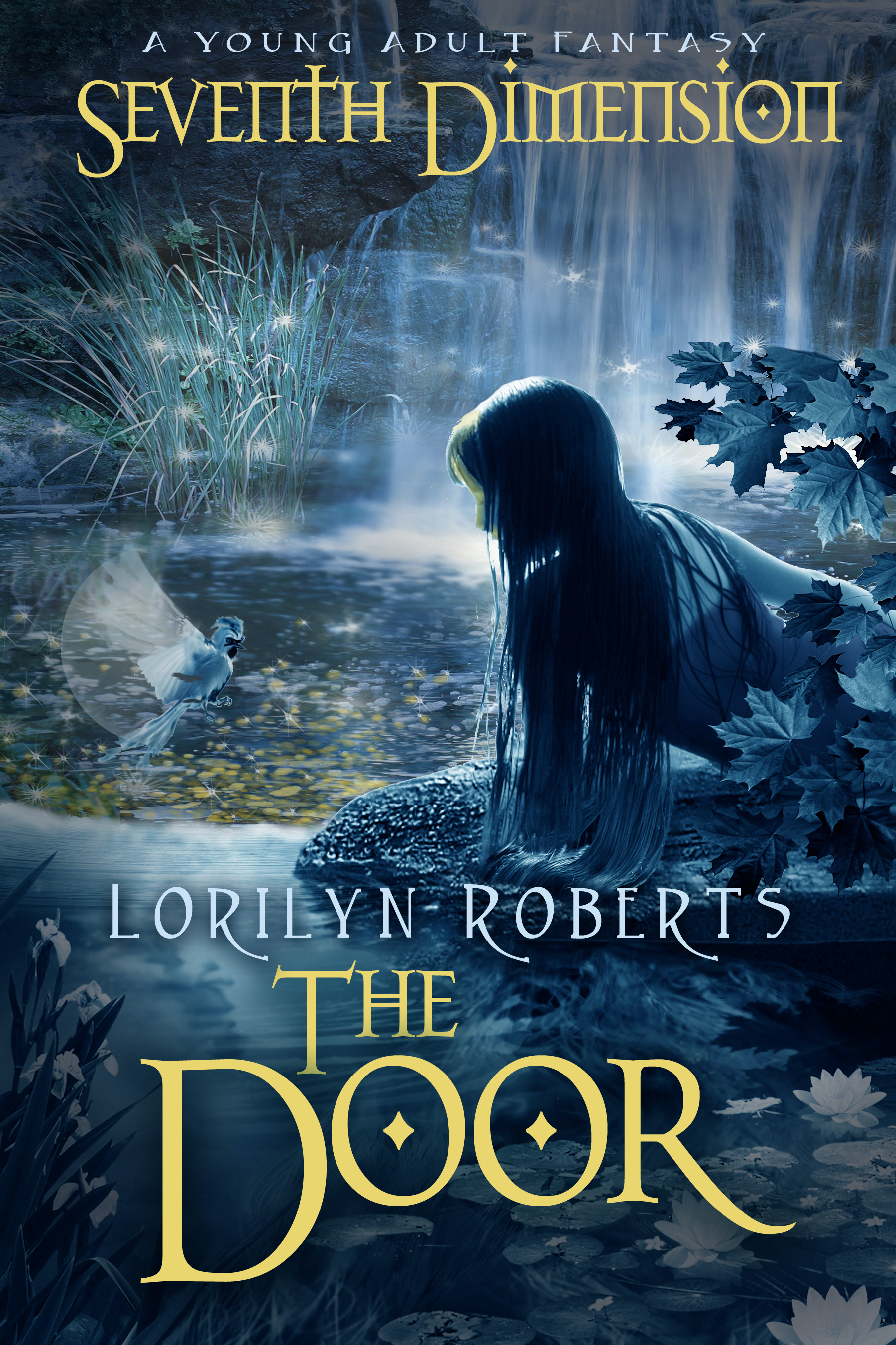 Seventh Dimension - The Door: A Young Adult Fantasy (Seventh Dimension, #1)