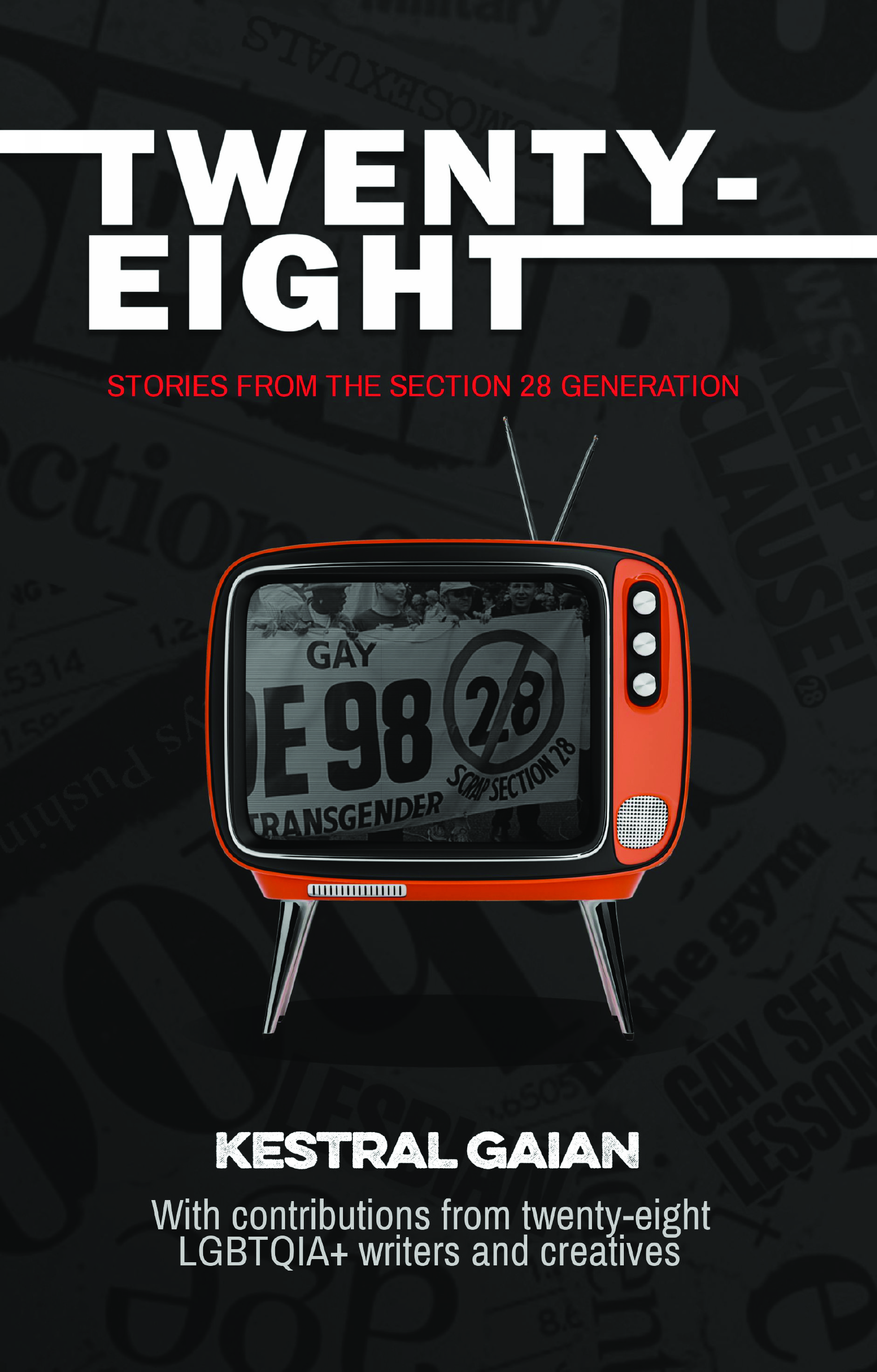 Twenty-Eight: Stories from the Section 28 Generation (Paperback)