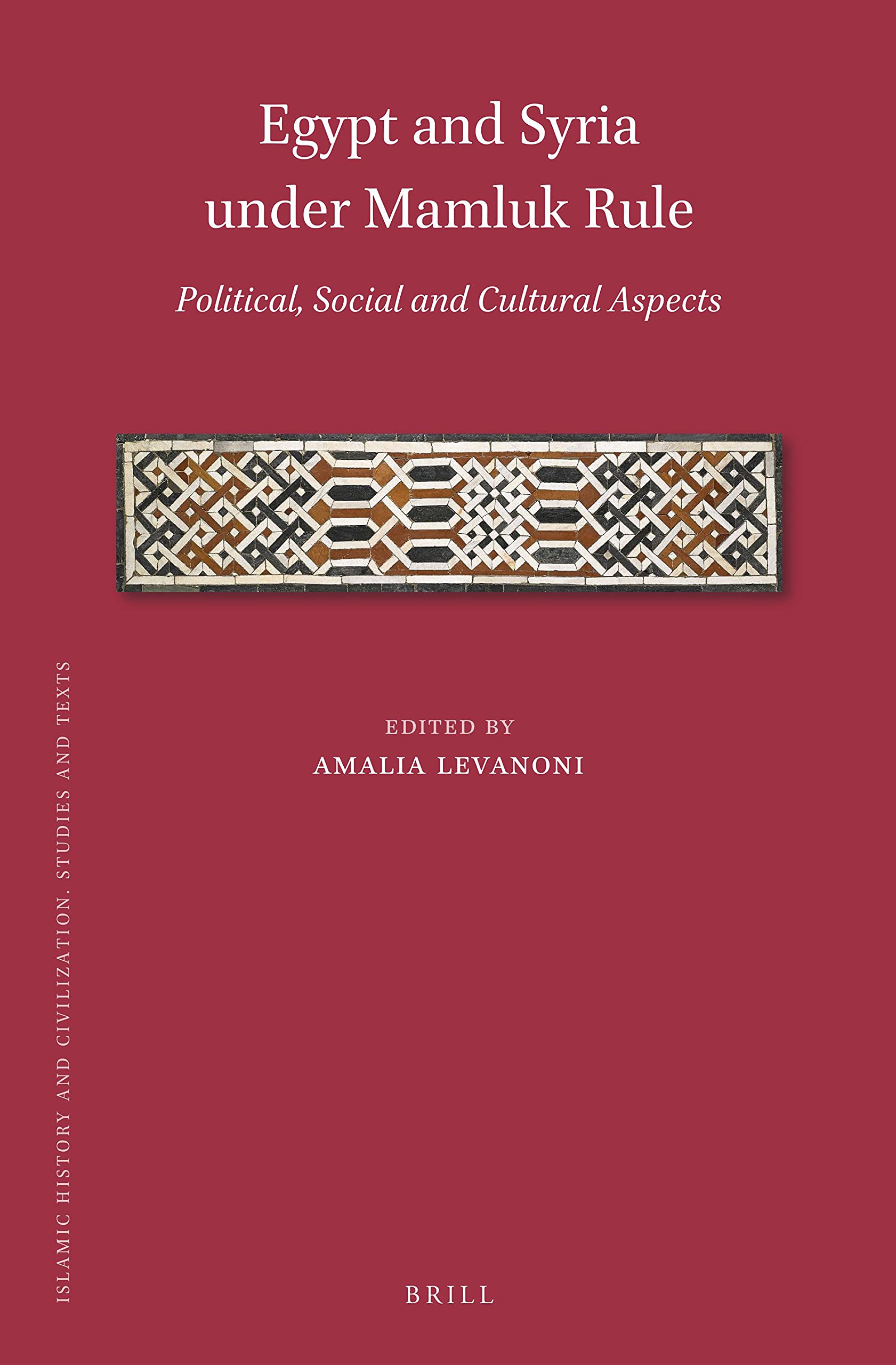 Egypt and Syria under Mamluk Rule: Political, Social and Cultural Aspects (Islamic History and Civilization, 181)