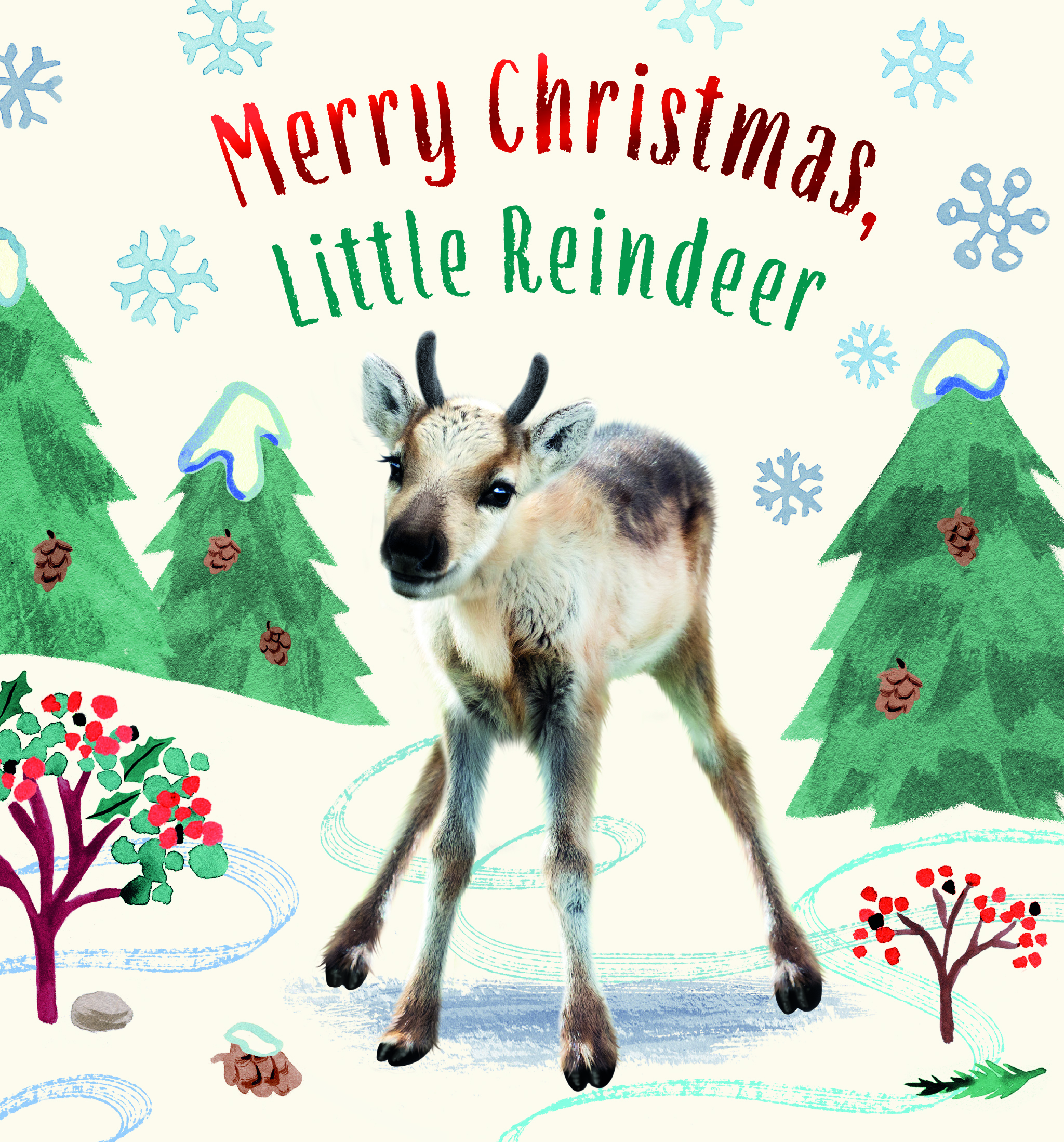Merry Christmas, Little Reindeer (Kindle Edition)