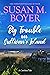 Big Trouble on Sullivan's Island by Susan M. Boyer