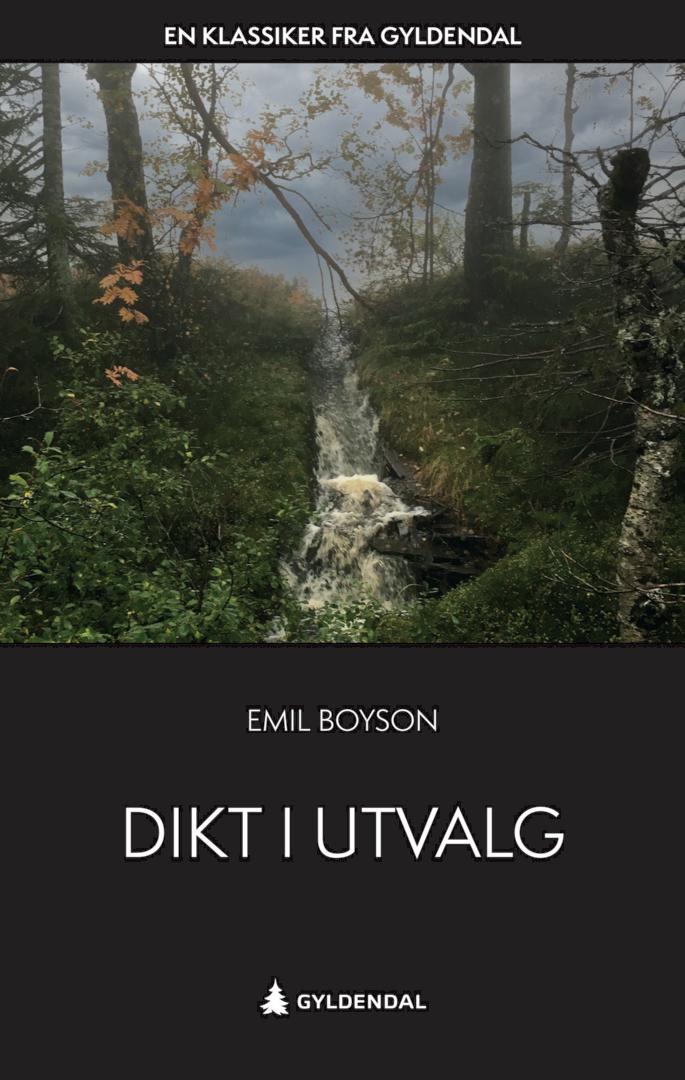 Dikt i utvalg (Paperback)