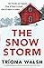 The Snowstorm