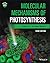 Molecular Mechanisms of Photosynthesis