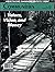 Communities Magazine #98 (Spring 1998) – Values, Vision, and ... by Allen Hancock