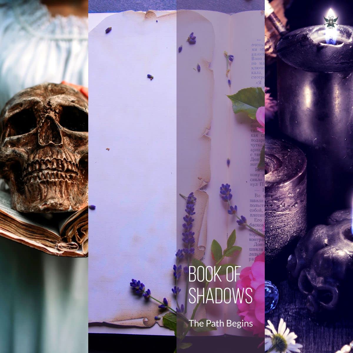 Book of Shadows: Traditional Hereditary Witchcraft (Hekate's Finishing School Core Curriculum 2)