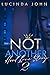 Not Another Hood Love Story 2