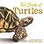 The Book of Turtles by Sy Montgomery