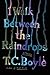 I Walk Between the Raindrops: Witty Literary Short Stories – Inventive Contemporary Fiction
