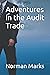 Adventures in the Audit Trade