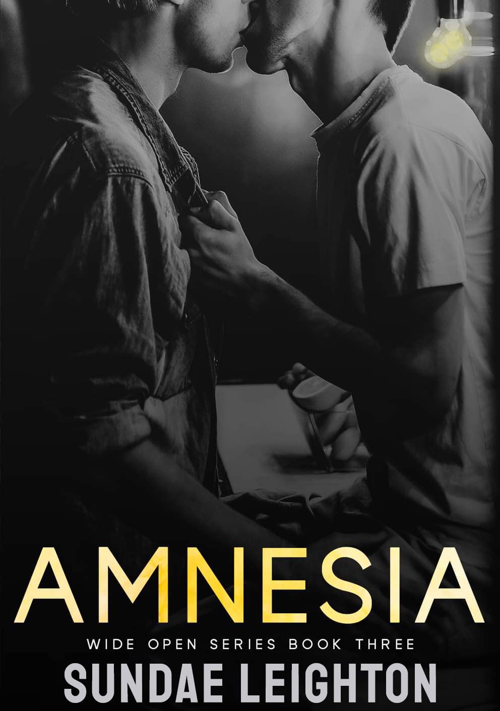 Amnesia (Wide Open #3)