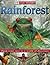Dk Eyewonder Rain Forest