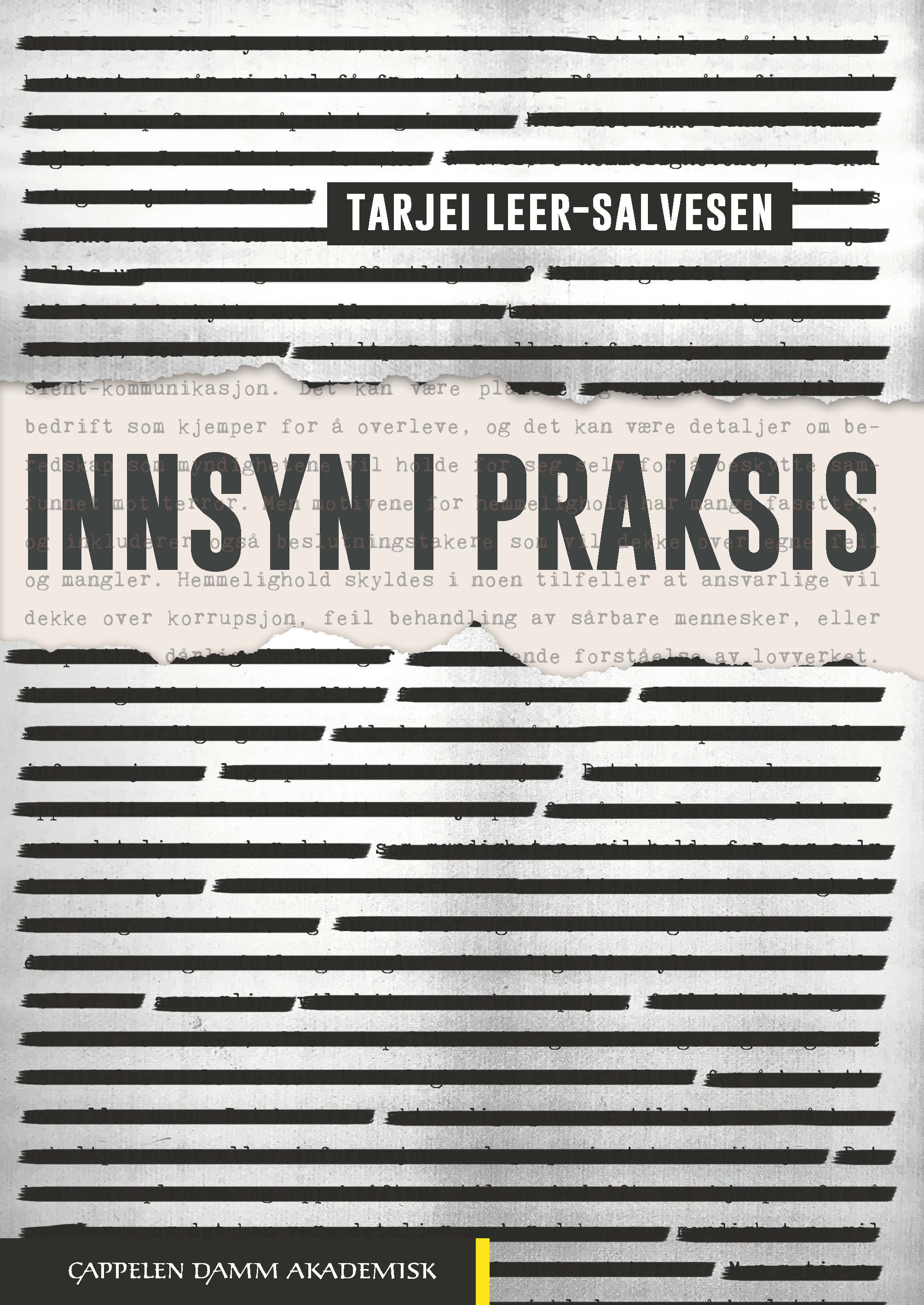 Innsyn i praksis (Paperback)